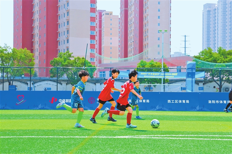 河南体育发展基金会： 以公益之力浇灌体育强省之花